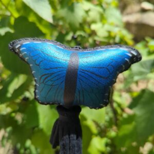 Hochet papillon